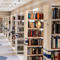 Graphic design of a golden egg superimposed on a bookshelf in the library