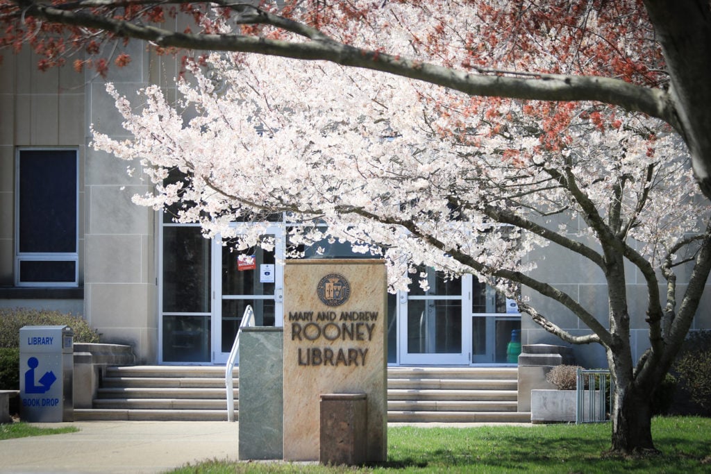 Pictured is the outside entryway of SMWC's library, with signage that says Mary and Andrew Rooney Library and a flowering tree in front.
