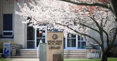 Flowering tree and signage in front of SMWC library