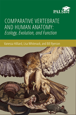 Book cover for "Comparative Vertebrate and Human Anatomy," featuring an illustration of an owl in flight, a snake, and a mouse. The illustration also depicts what the skeletal structures of the mouse and owl look like, as well as the intestinal structure of the snake.