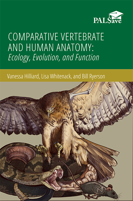Book cover for "Comparative Vertebrate and Human Anatomy," featuring an illustration of an owl in flight, a snake, and a mouse. The illustration also depicts what the skeletal structures of the mouse and owl look like, as well as the intestinal structure of the snake.